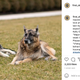 Major Biden Is a Bad Dog, But Try Telling That to His Loyal Stans